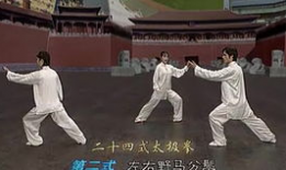 二十四式太极拳视频,领略传统武术魅力，体验身心和谐之道